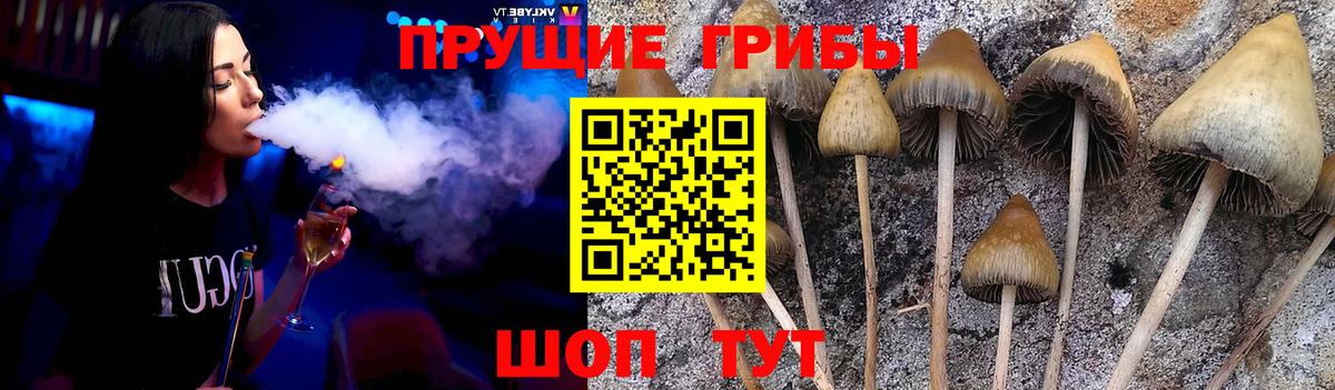 Галлюциногенные грибы Magic Shrooms  Вход с VPN  Петрозаводск 